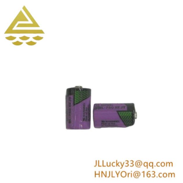 ABB SB808F 3BDM000199R1: RAM Buffering Battery, Dual Pack