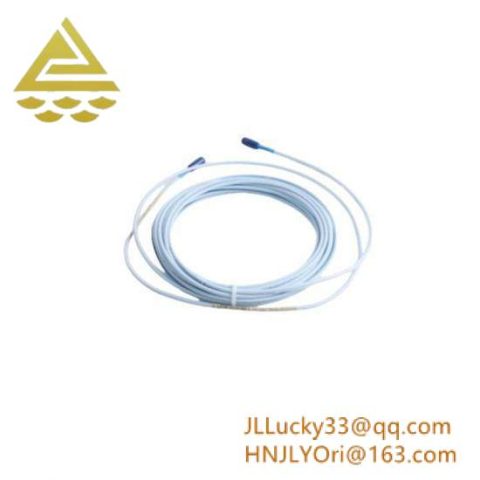 BENTLY NEVADA 330703-000-070-10-02-05 Vibration Monitoring Module