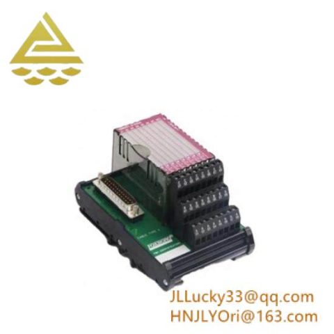 Foxboro P0916AA I/A Series Module