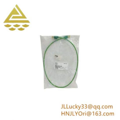 SIEMENS SMP-E217 Industrial Control Module