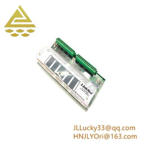 Woodward 9905-969: Analog Input Module for Industrial Control Systems