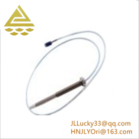 Bently Nevada 100M2833 Condition Monitoring System Module